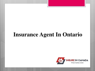 Insurance Agent in Ontario