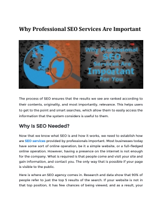 Why Professional SEO Services are Important