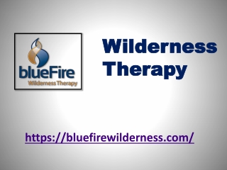 Wilderness Therapy - bluefirewilderness.com