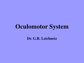 Oculomotor System