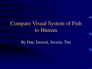 Compare Visual System of Fish to Human