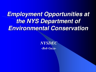 Employment Opportunities at the NYS Department of Environmental Conservation