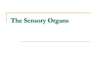 The Sensory Organs