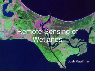 Remote Sensing of Wetlands Josh Kauffman
