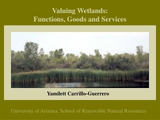 Valuing Wetlands: Functions, Goods and Services