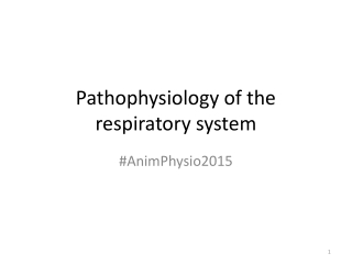 Pathophysiology of the respiratory system