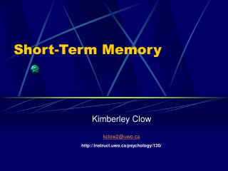 Short-Term Memory