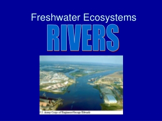 Freshwater Ecosystems