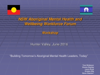 NSW Aboriginal Mental Health and Wellbeing Workforce Forum   Workshop