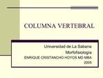 COLUMNA VERTEBRAL