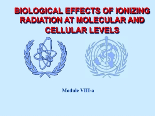 BIOLOGICAL EFFECTS OF IONIZING RADIATION  AT MOLECULAR AND CELLULAR LEVELS