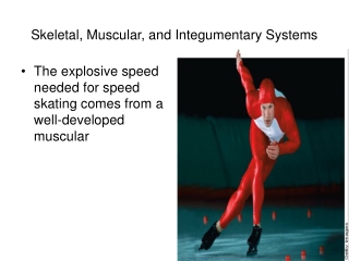 Skeletal, Muscular, and Integumentary Systems