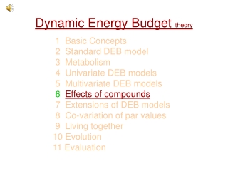 Dynamic Energy Budget  theory