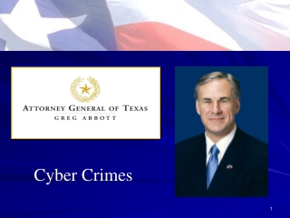 Cyber Crimes