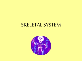 SKELETAL SYSTEM