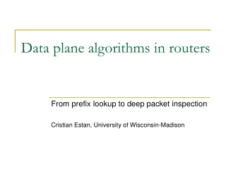 Data plane algorithms in routers