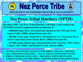 Nez Perce Tribal Hatchery (NPTH)