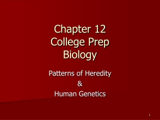 Chapter 12 College Prep Biology