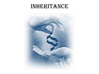 Inheritance