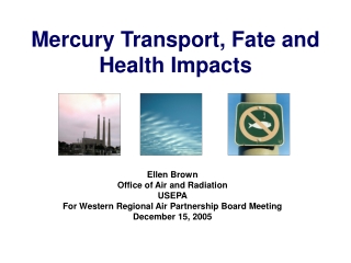 Mercury Transport, Fate and Health Impacts