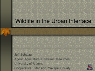 Wildlife in the Urban Interface