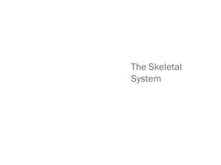 The Skeletal System