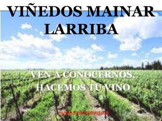 VIÑEDOS MAINAR LARRIBA