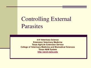 Controlling External Parasites