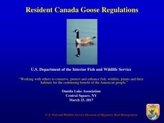 Resident Canada Goose Regulations