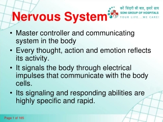 Nervous System