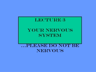 Lecture 3 YOUR NERVOUS SYSTEM …please do not be nervous