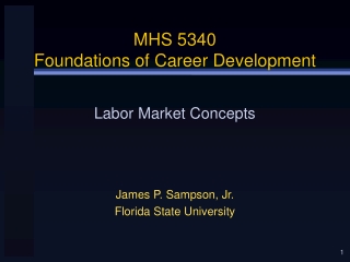 MHS 5340 Foundations of Career Development