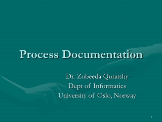 Process Documentation