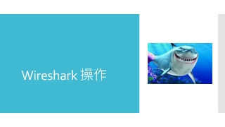 Wireshark  操作