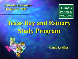 Texas Bay and Estuary Study Program