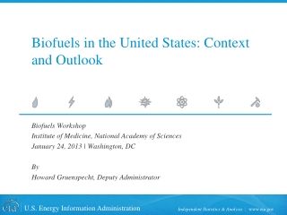 Biofuels  in the United States: Context and Outlook