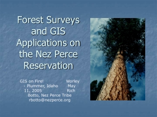 Forest Surveys and GIS Applications on the Nez Perce Reservation