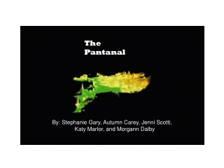 The Pantanal