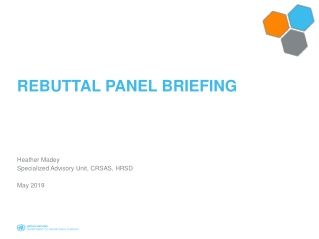 Rebuttal Panel Briefing