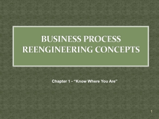 BUSINESS PROCESS REENGINEERING CONCEPTS