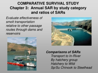 COMPARATIVE SURVIVAL STUDY  Chapter 3:  Annual SAR by study category  and ratios of SARs