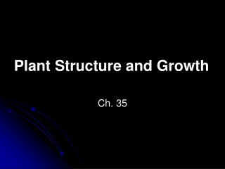 Plant Structure and Growth