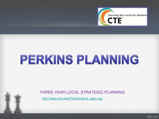 THREE-YEAR LOCAL STRATEGIC PLANNING