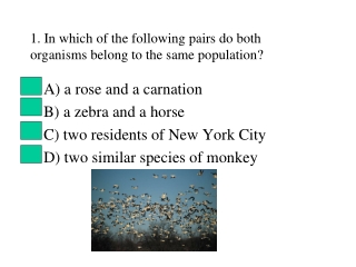 1. In which of the following pairs do both organisms belong to the same population?