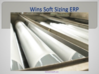 Wins Soft Sizing ERP