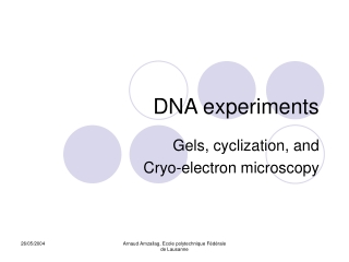 DNA experiments