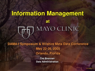 Information Management  at