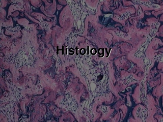 Histology