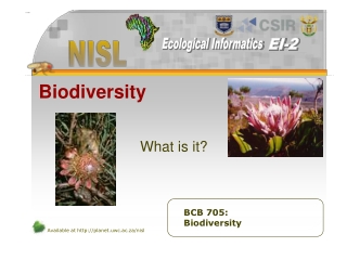 Biodiversity