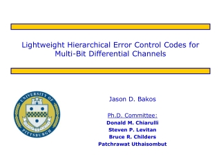 Lightweight Hierarchical Error Control Codes for Multi-Bit Differential Channels